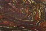 Polished Tiger Iron Stromatolite Slab - Billion Years #317892-1